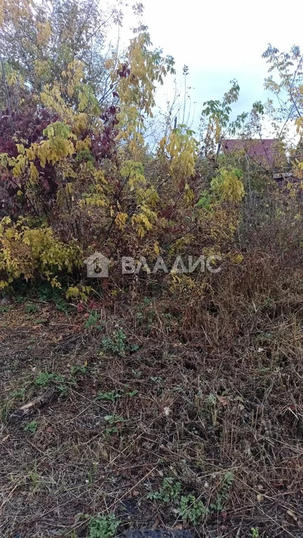 Участок, 8 соток