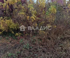 Участок, 8 соток