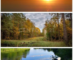 Участок, 400 соток