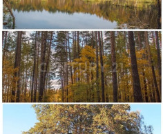 Участок, 400 соток