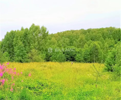 Участок, 19 соток