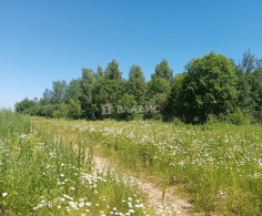 Участок, 120 соток