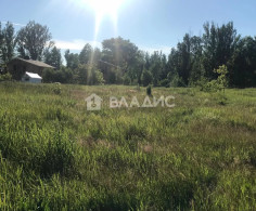Участок, 60 соток