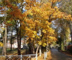 Квартира, 1 этаж