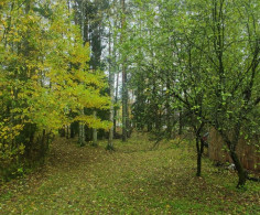 Участок, 29 соток