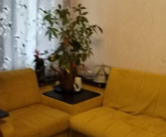 Квартира, 1 этаж