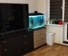 Квартира, 1 этаж
