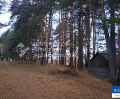 Дом, 1 этаж