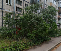 Квартира, 1 этаж