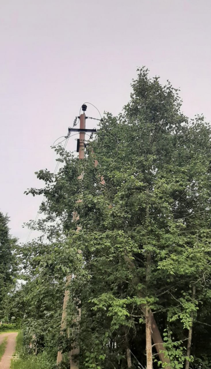 Участок, 100 соток
