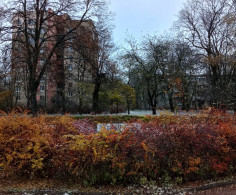 Квартира, 3 этажа