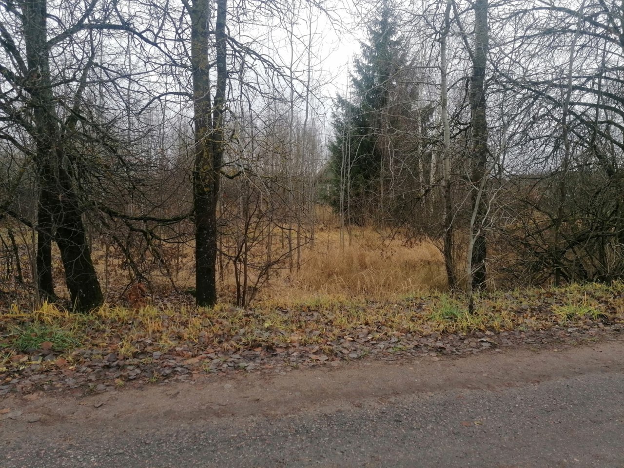 Участок, 1 этаж, 20 соток