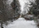 Участок, 6 соток