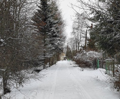 Участок, 6 соток