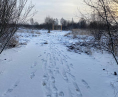 Участок, 10 соток