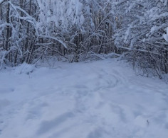 Участок, 100 соток