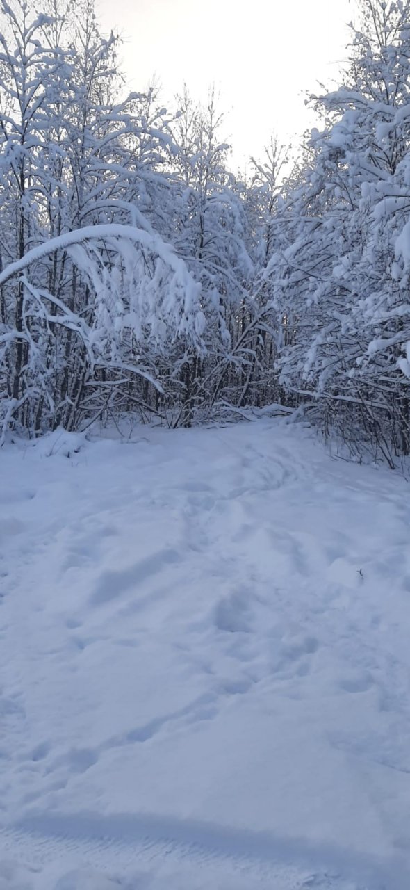 Участок, 100 соток