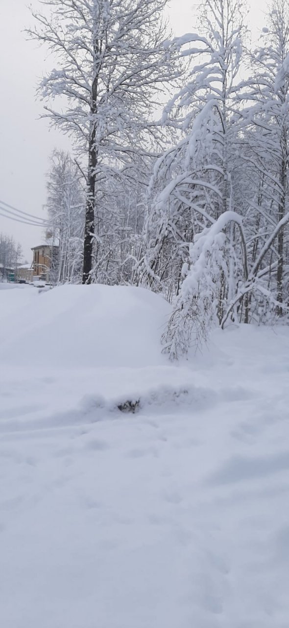 Участок, 100 соток