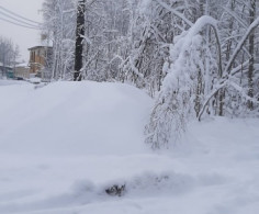 Участок, 100 соток