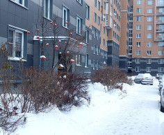 Квартира, 6 этажей