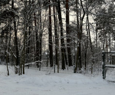 Участок, 24 сотки
