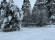 Участок, 16 соток