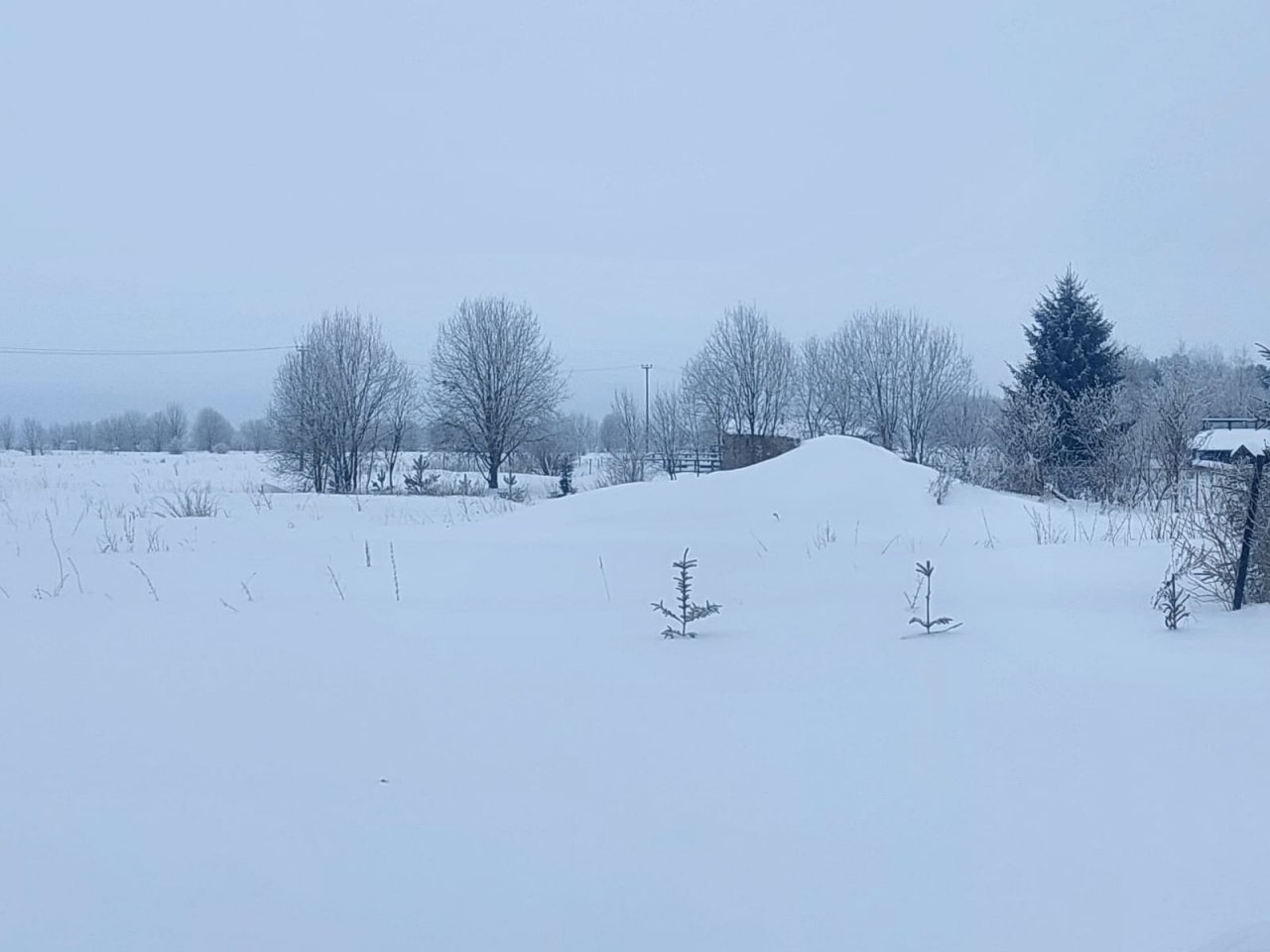 Участок, 12 соток