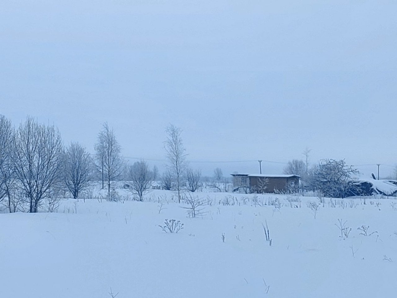 Участок, 12 соток