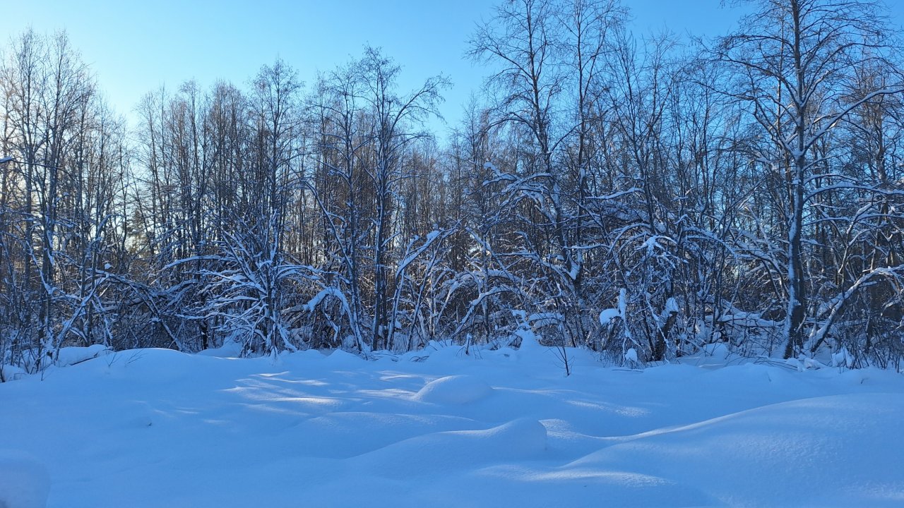 Участок, 15 соток