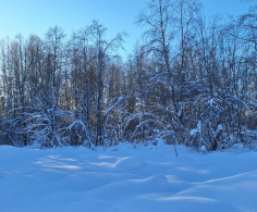 Участок, 15 соток