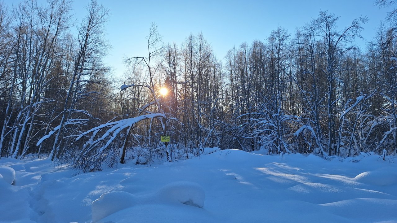 Участок, 15 соток