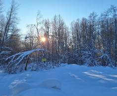 Участок, 15 соток