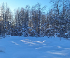 Участок, 15 соток
