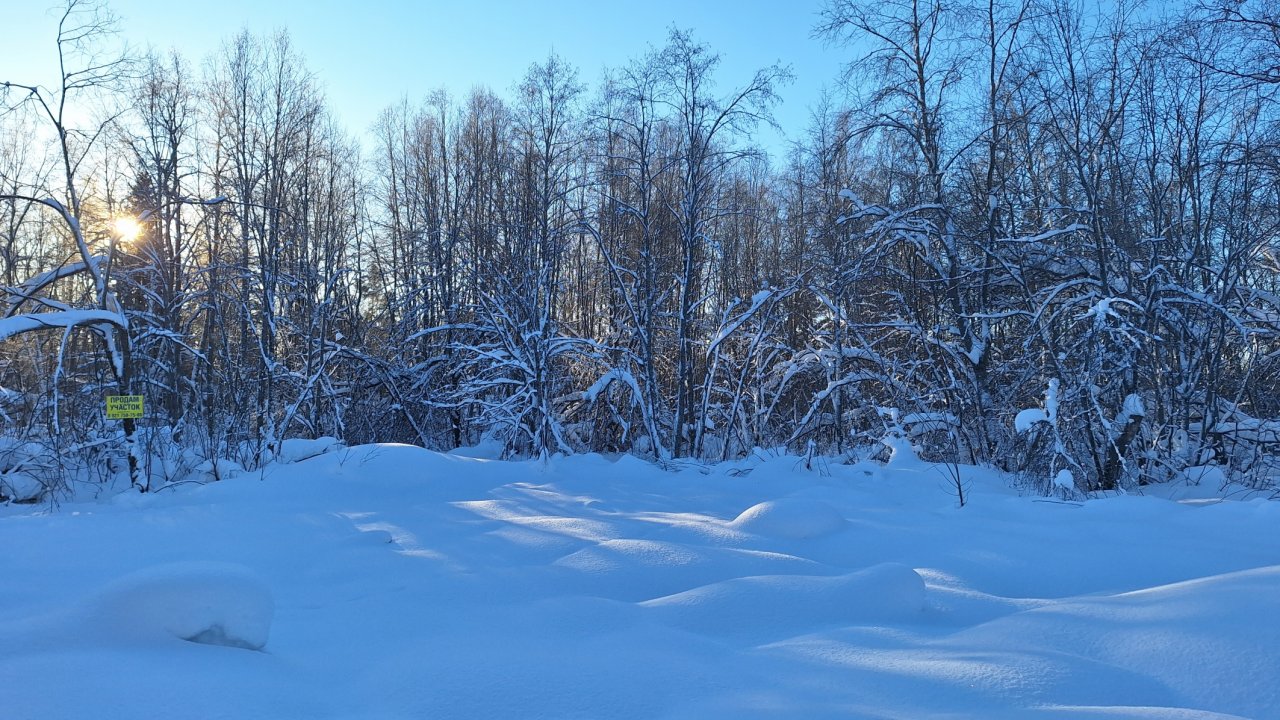 Участок, 15 соток