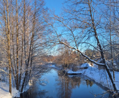 Участок, 15 соток