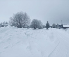 Участок, 130 соток