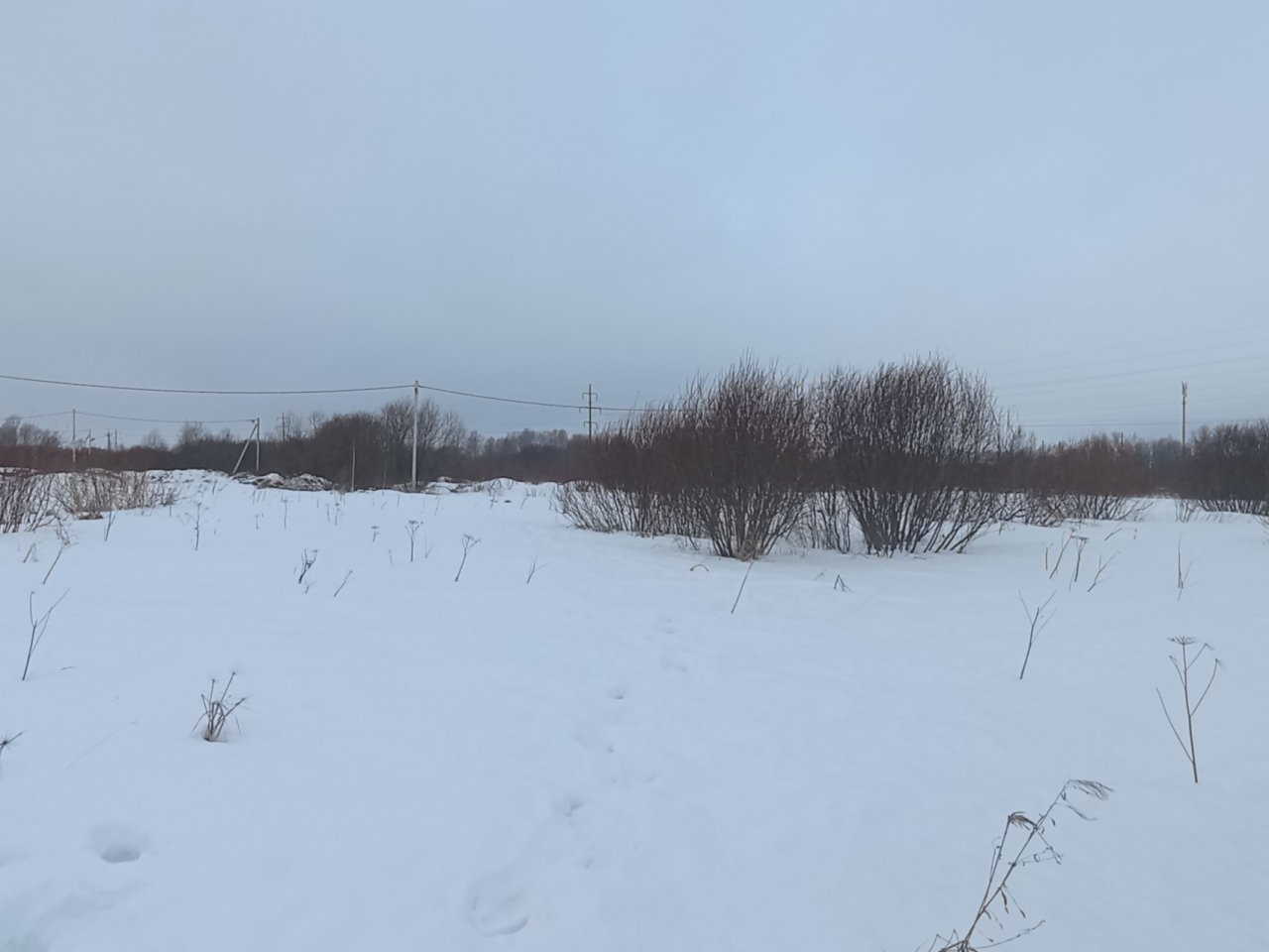 Участок, 10 соток