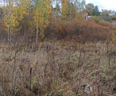 Участок, 15 соток