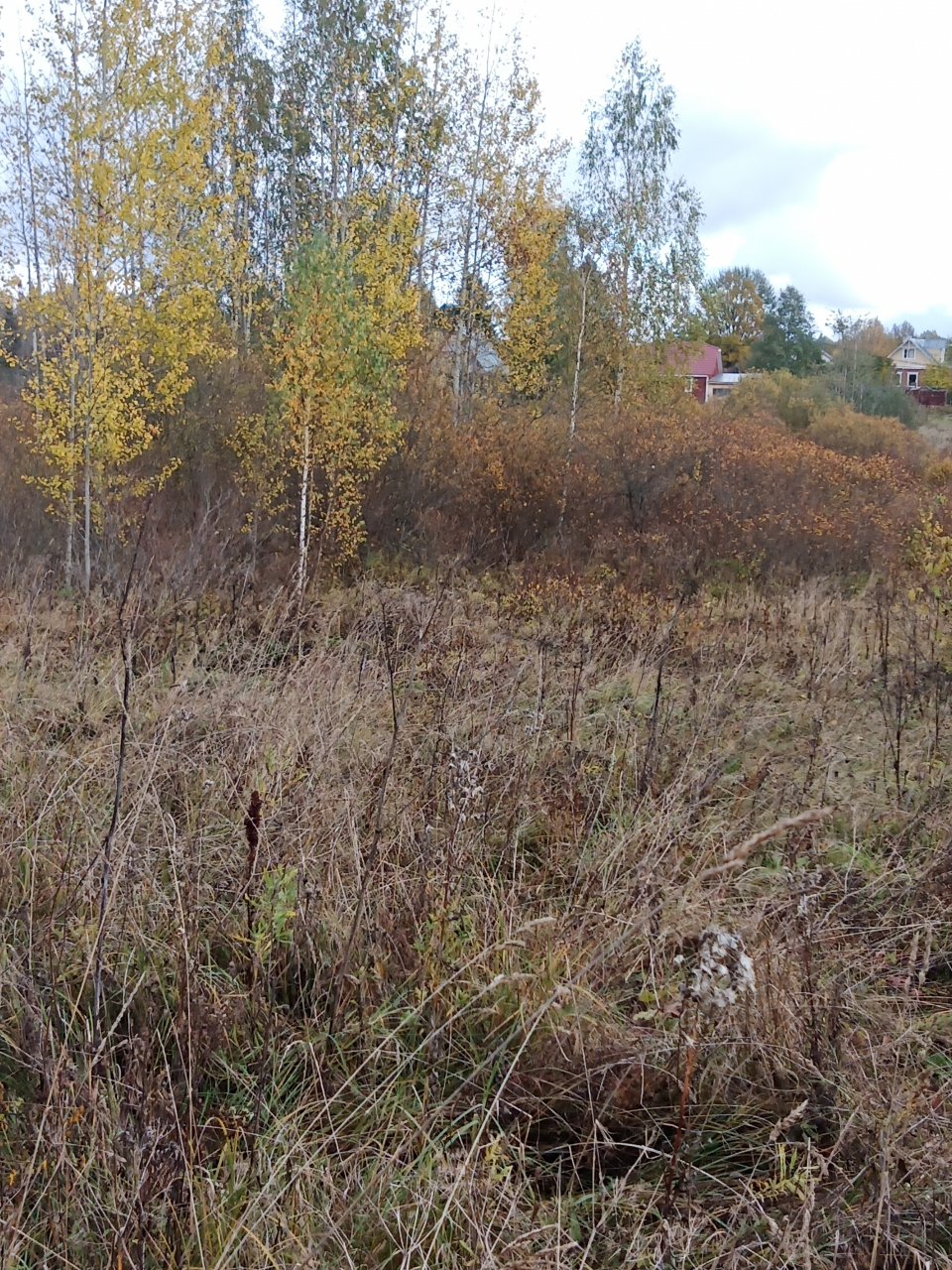 Участок, 15 соток