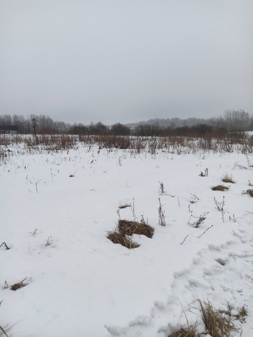 Участок, 15 соток