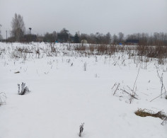 Участок, 15 соток