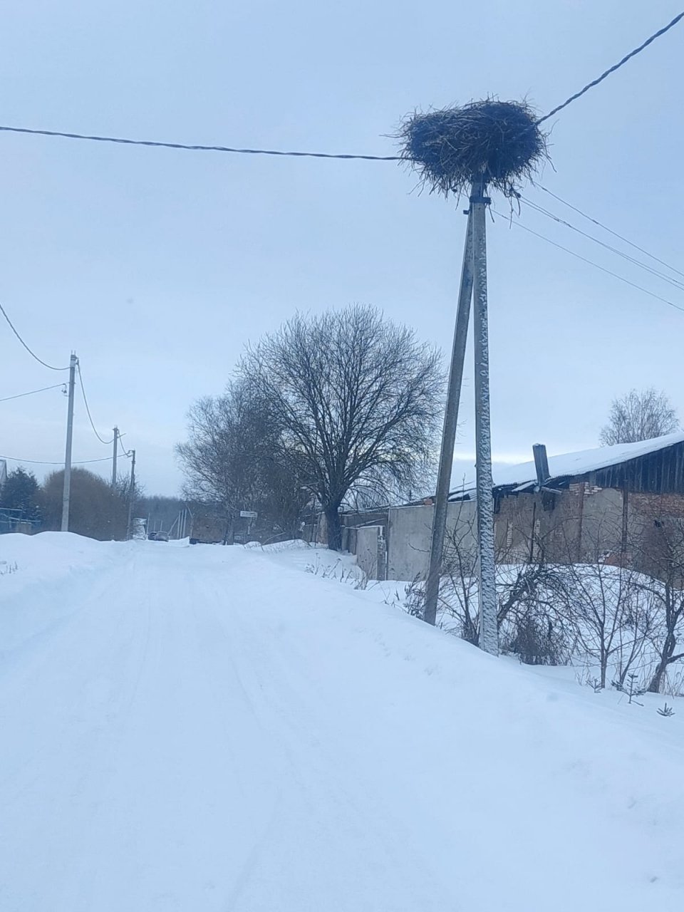 Участок, 10 соток