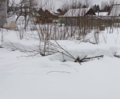 Участок, 6 соток