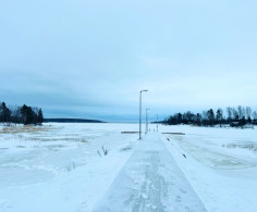 Участок, 31 сотка