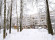 Квартира, 1 этаж