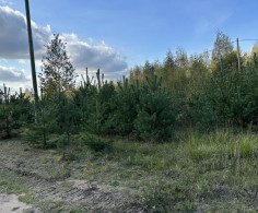 Участок, 20 соток