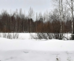 Участок, 12 соток