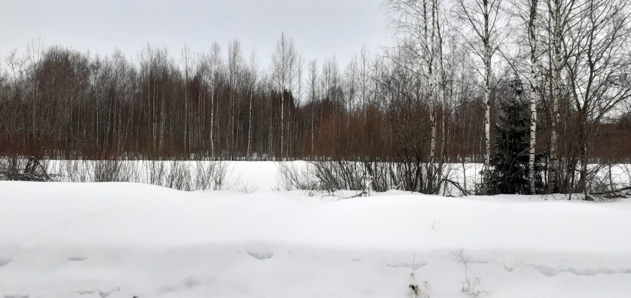 Участок, 12 соток