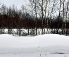 Участок, 12 соток