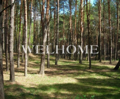 Участок, 38 соток